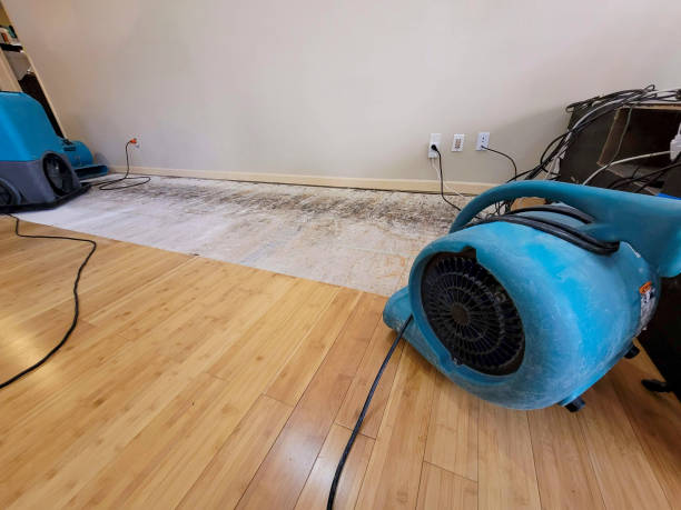 Professional Water Damage Repair technician working in Coalinga, CA